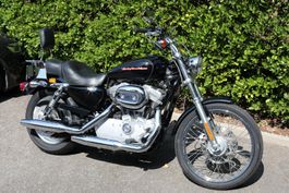 HARLEY-DAVIDSON XL 883 C Sportster Custom (Cruiser)