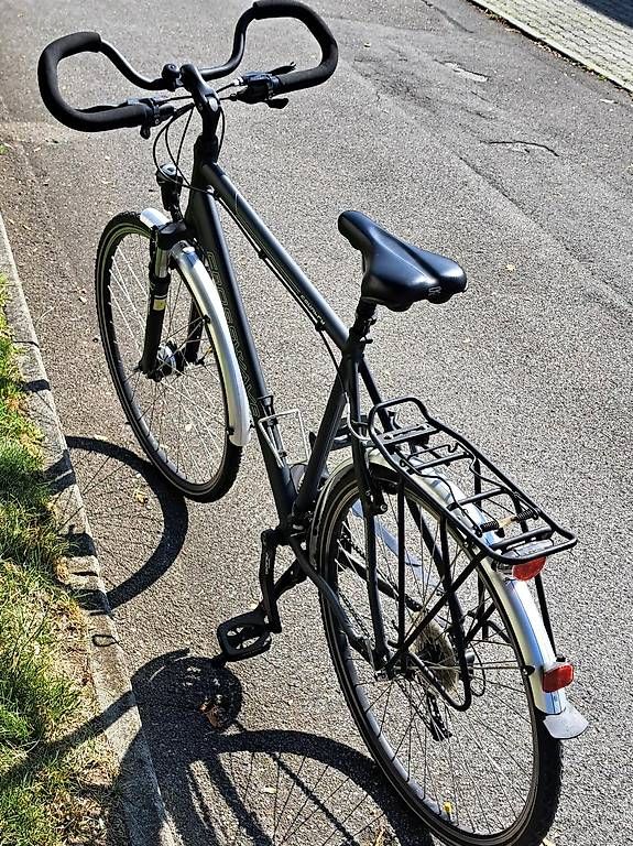 Biciclette: Citybike – Usato da Ebikon venduto da Erwinho 4