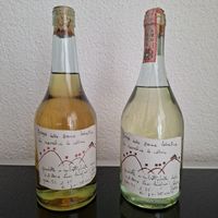Romano Levi Grappa 'Donna Selvatica' – 2 Sammlerflaschen