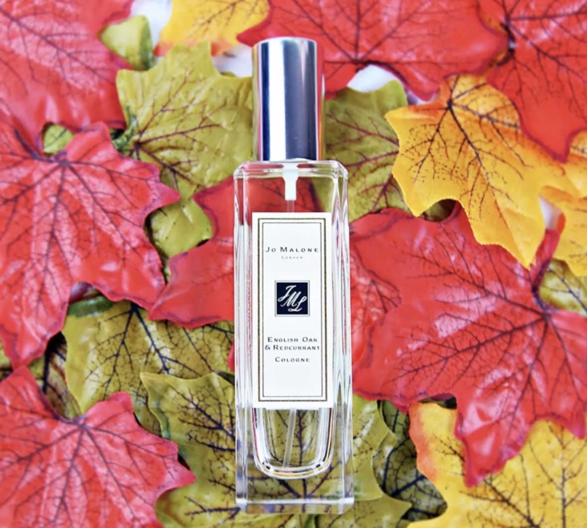 Jo Malone Profumi & Eau de Toilette: JO MALONE English Oak & Redcurrant – Usato da Steffisburg venduto da ThymusVulgaris 2