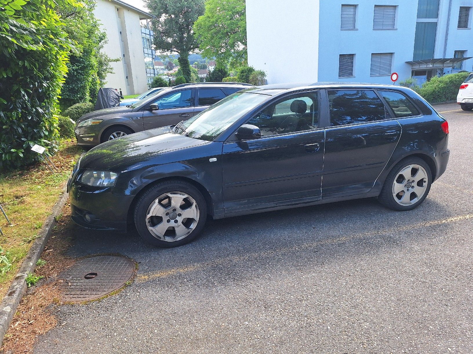 Audi Automobili: Audi A3 2.0 tdi S-line – Usato da Muri AG venduto da Misini1973