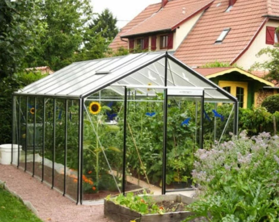 Gebrauchtes Gewachshaus Glas