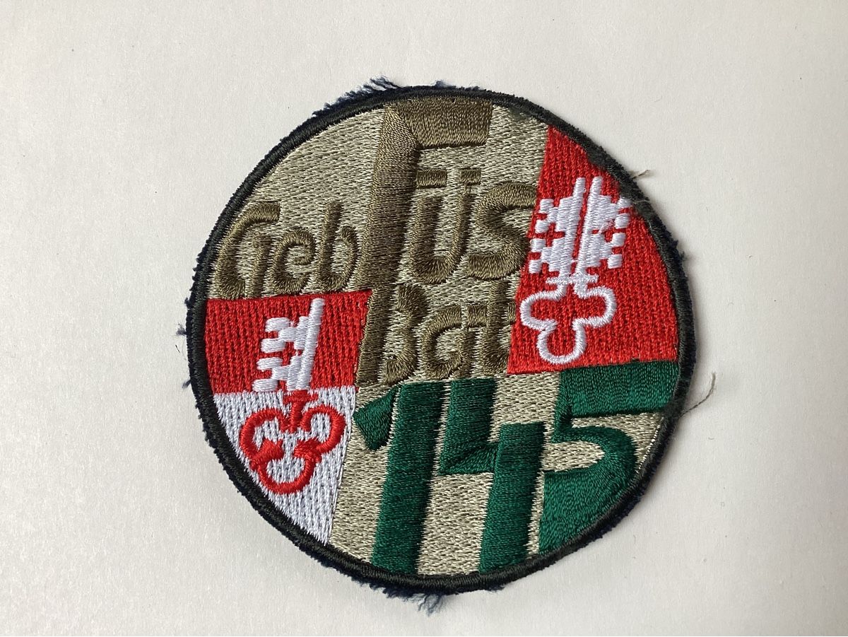 Armée suisse Plaquettes & Badges: Badges – D'occasion à niederurnen par Hagugelmann