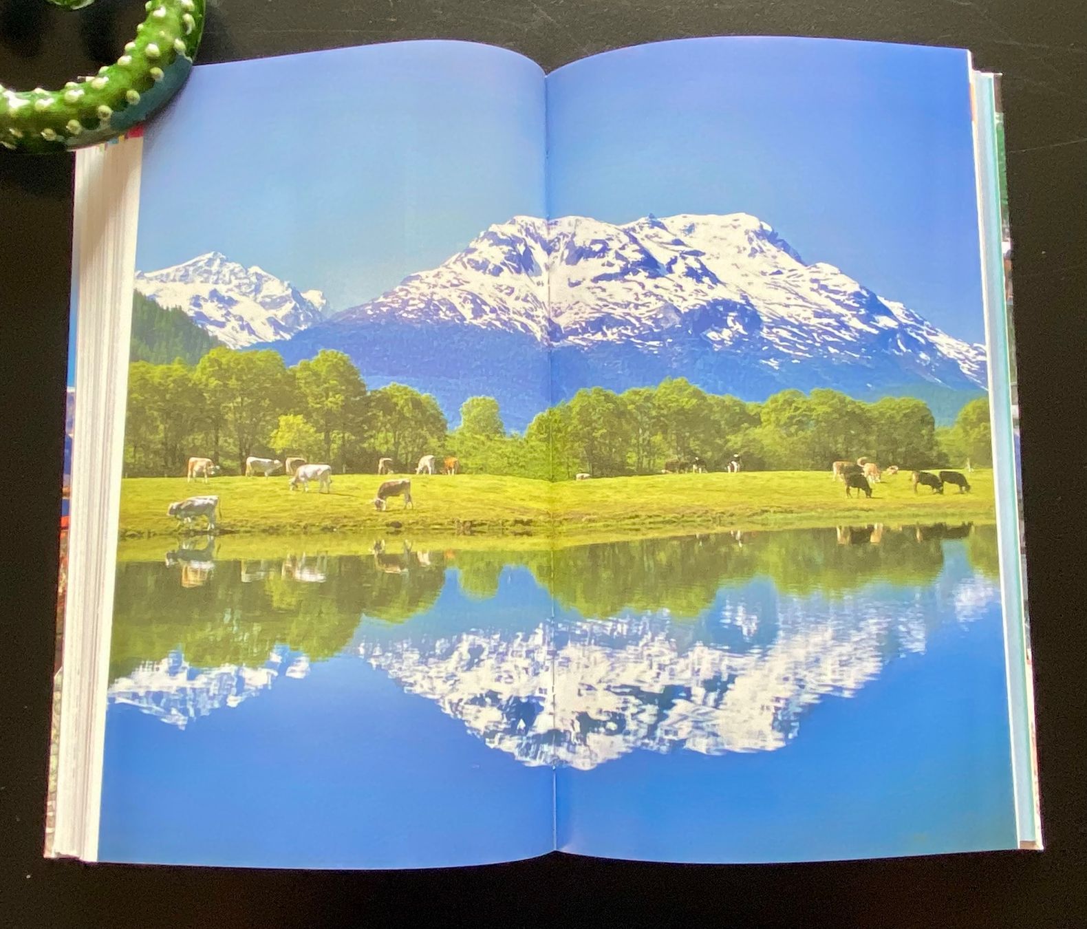 Bücher: Reiseführer Switzerland / Englisch – Gebraucht aus Nussbaumen AG von schuba2000 6
