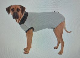 Tenue protection operation chien