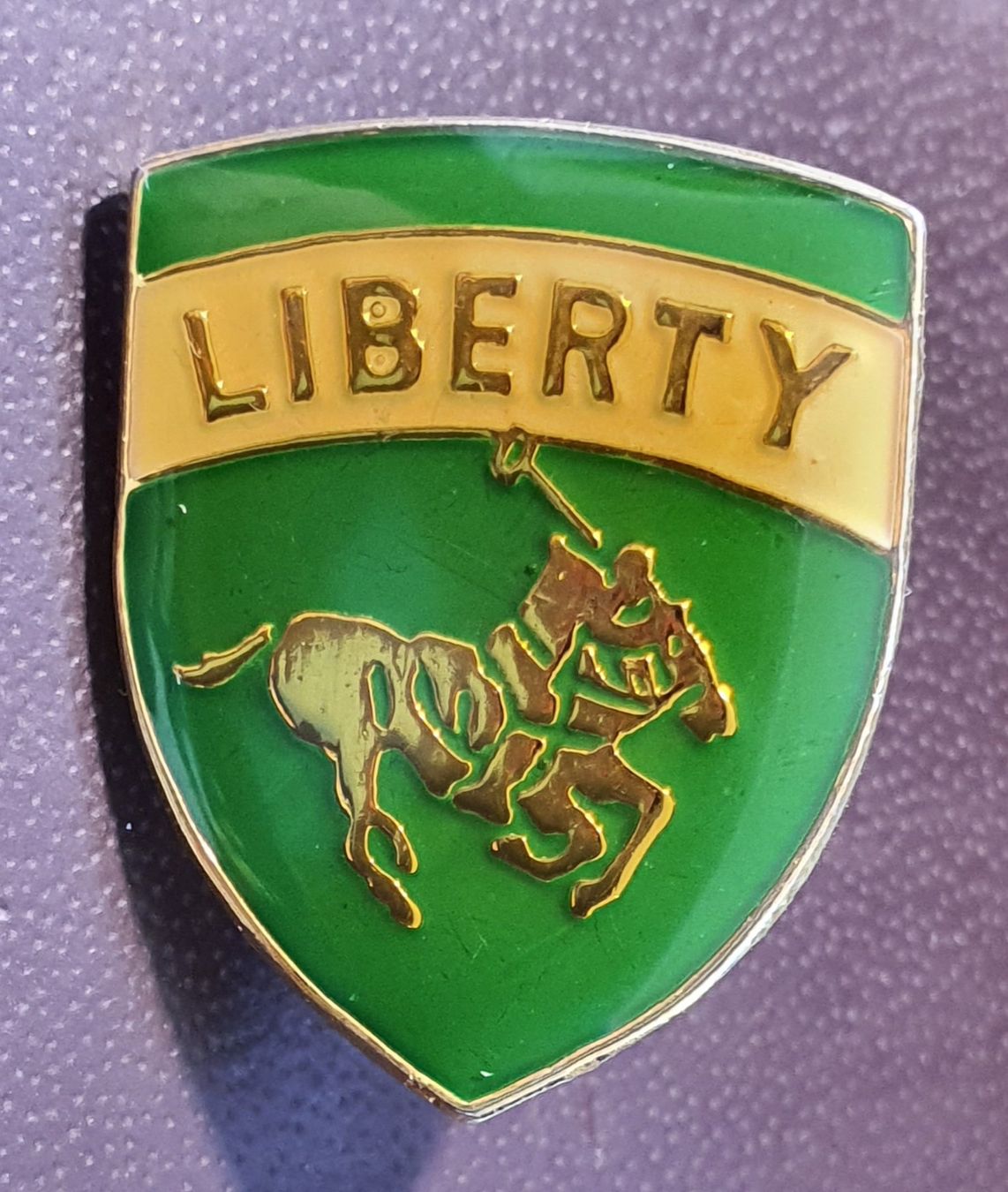 Plaketten & Abzeichen: D792 - Pin Polo Pfert Liberty Reiten – Gebraucht aus Reinach BL von Boston-Verkauf
