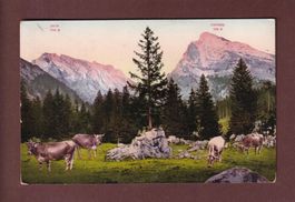 Toggenburg - Weg zum SÄNTIS - 1912