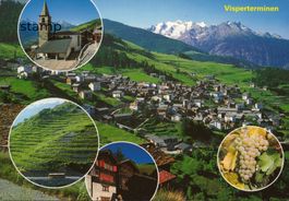 1990 AK Visperterminen _ Europas höchste Weinberge - Heida