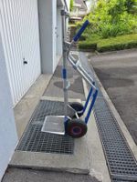 Sakkarren
