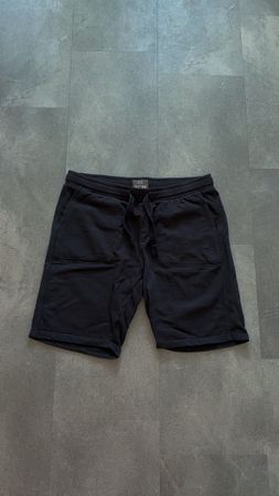 Camp David Shorts