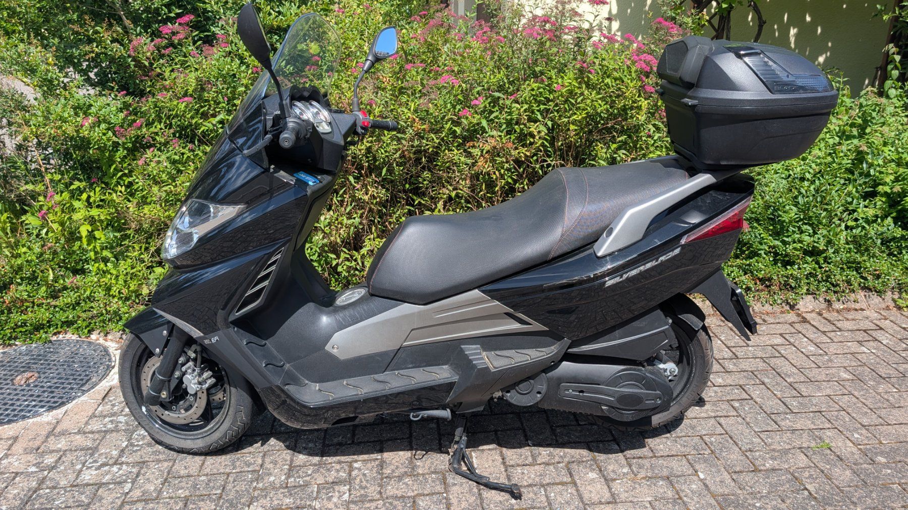 Tell Strada: Roller Tell Silverblade – Usato da Zuchwil venduto da UrsRicardo 2
