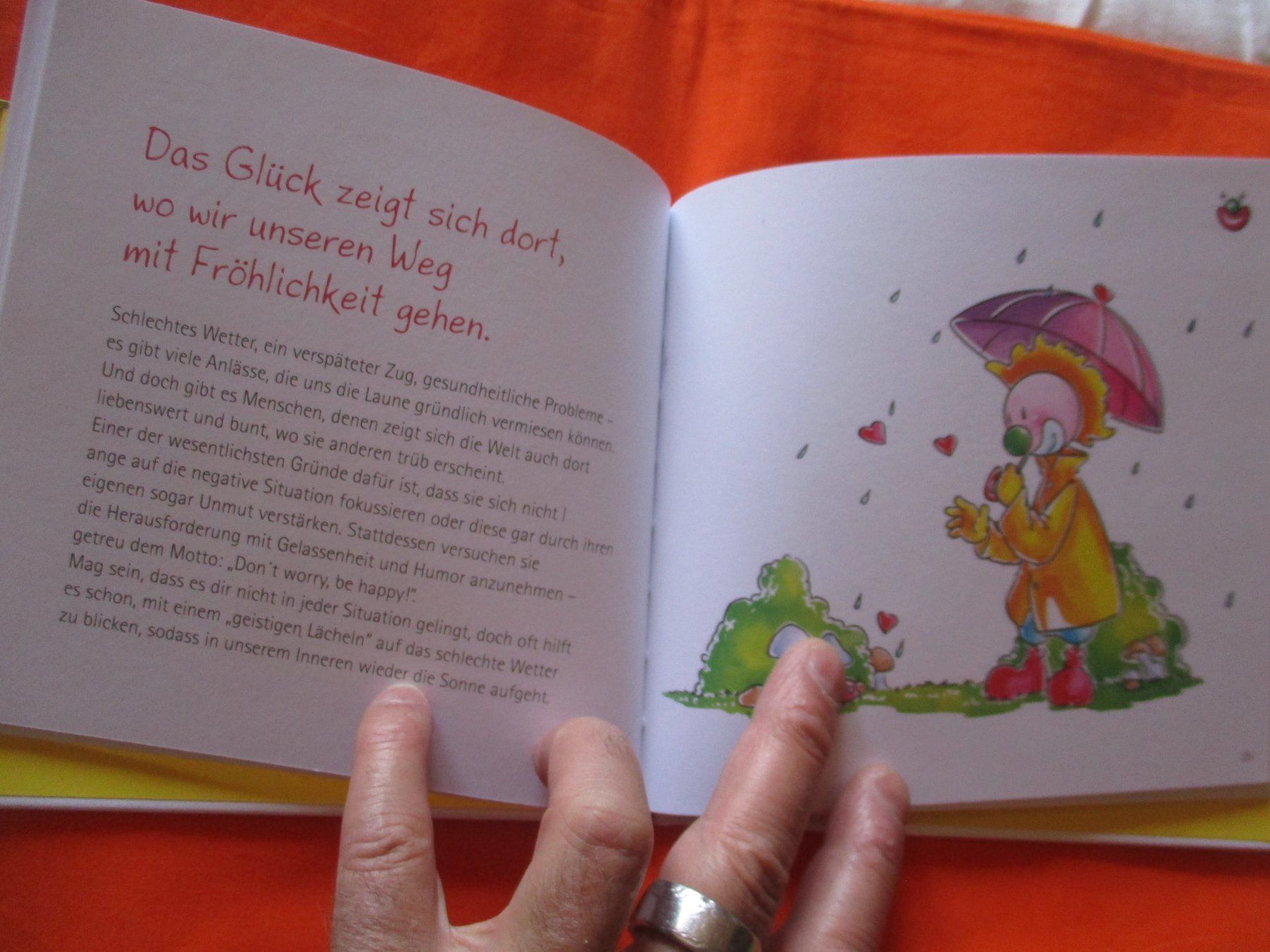Libri: Buch Lachen ist ein Geschenk des Herzens – Usato da Birsfelden venduto da alles-muss-raus 1