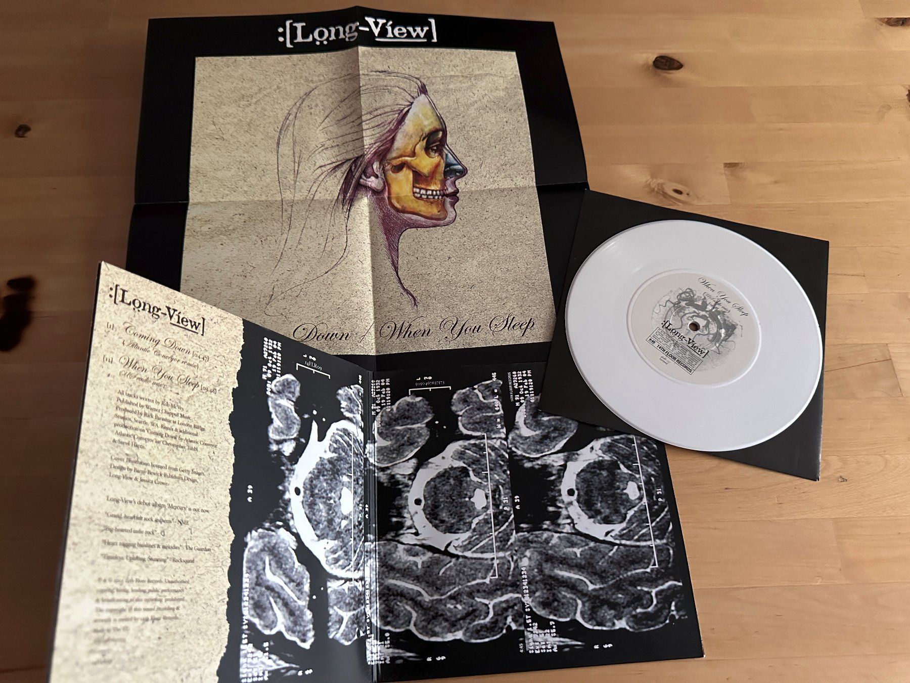 Vinyles: LONG VIEW LONG-VIEW Coming down Single Poster whity vinl neu – D'occasion à Basel par Partridge 1