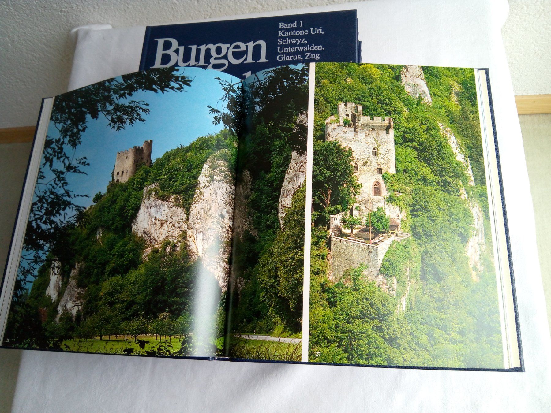 Libri: Burgen der Schweiz; 9 Bände – Usato da Pratteln venduto da Zund-88-Funken 3