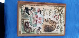 Schule Schubert Natur Tiere Antiquariat Buch Rarität Antik