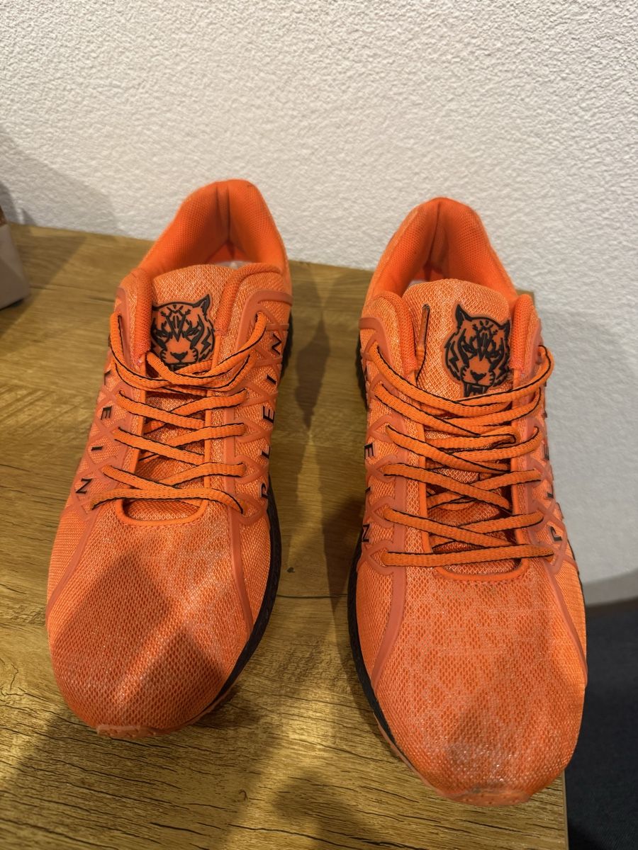 Philipp Plein Scarpe da uomo: Plein Sport schuhe – Usato da Münchenbuchsee venduto da Prince335 3