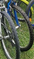 Export Velo