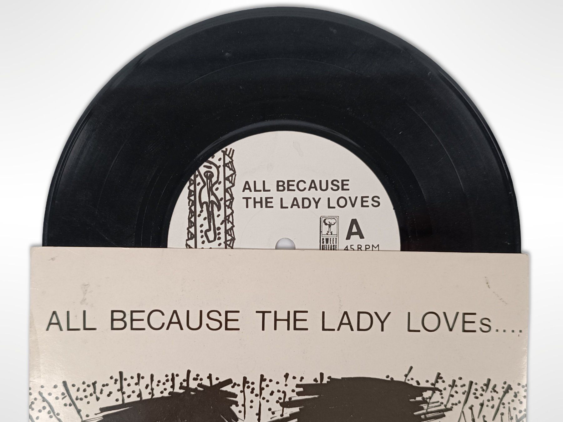 Dischi in vinile: Vinyl Singles 5 Stk. – Usato da Suhr venduto da Restwert_Suhr 5