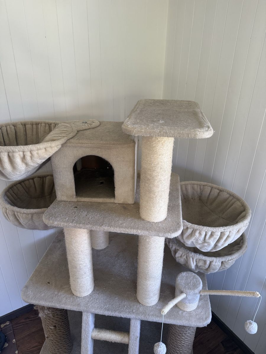 Katzenbaum - Kratzbaum: Grosser Kratzbaum beige – Gebraucht aus Plasselb von Fribi18nick 4
