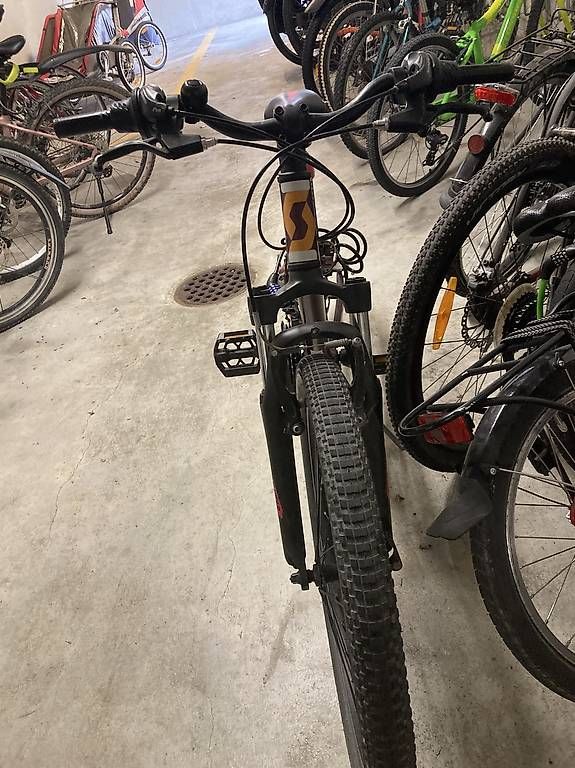 Biciclette: Kindervelo SCOTT 24Zoll – Usato da Greifensee venduto da Greifensee12 1