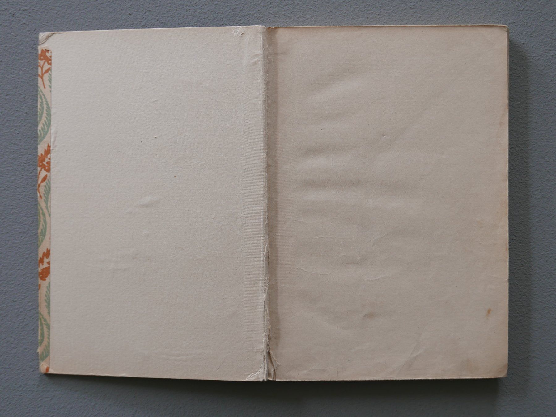 Libri: ANTIKES SCHWEIZER KINDERBUCH VON 1917 – Usato da Balgach venduto da Zwischenraum 1