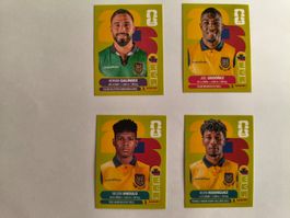 W Cup 2026 Equateur N°2, 8, 17, 19