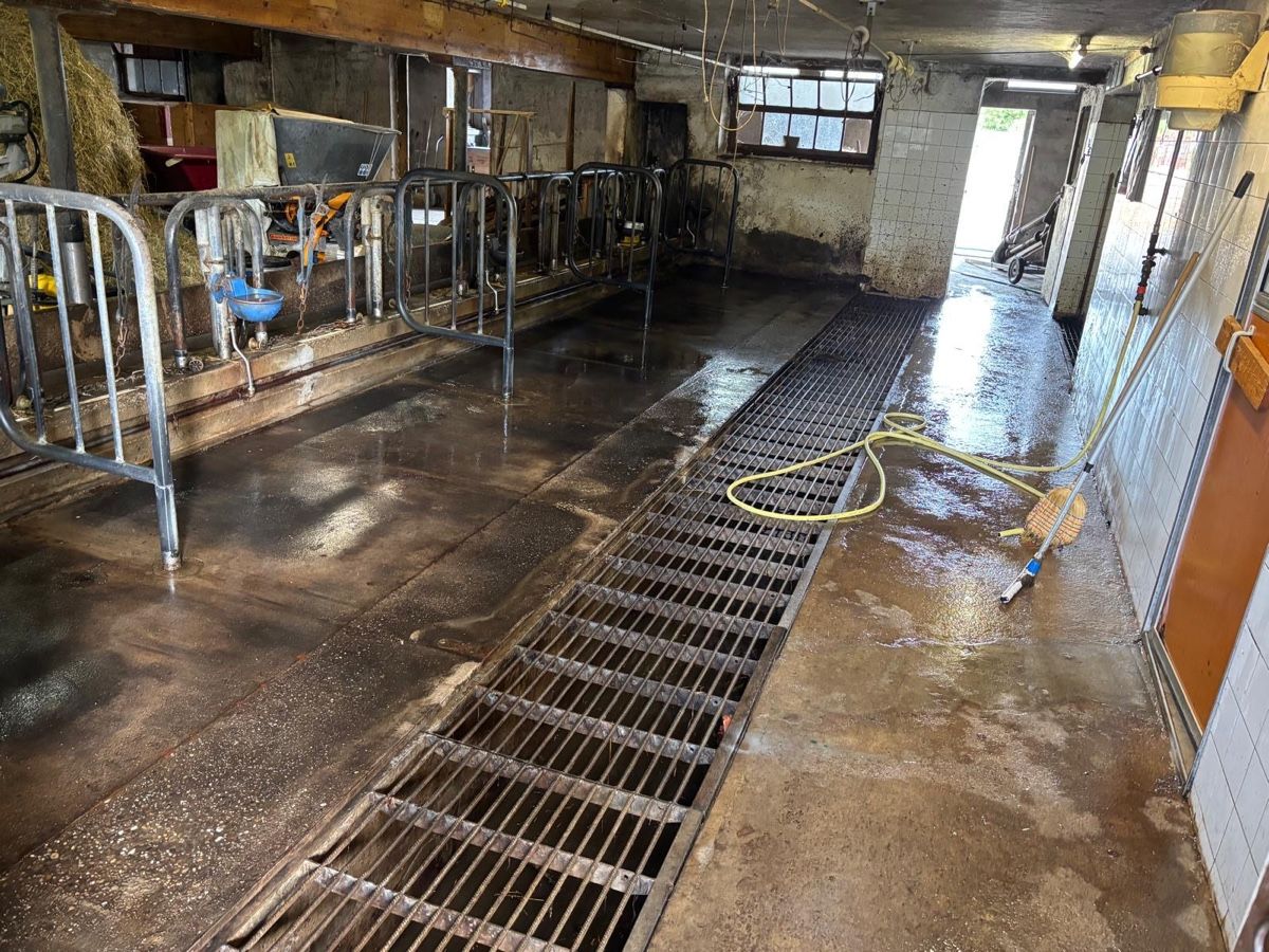 Sonstiges Tierzubehör: Stall Einrichtung – Gebraucht aus Neuendorf von Goeggs01
