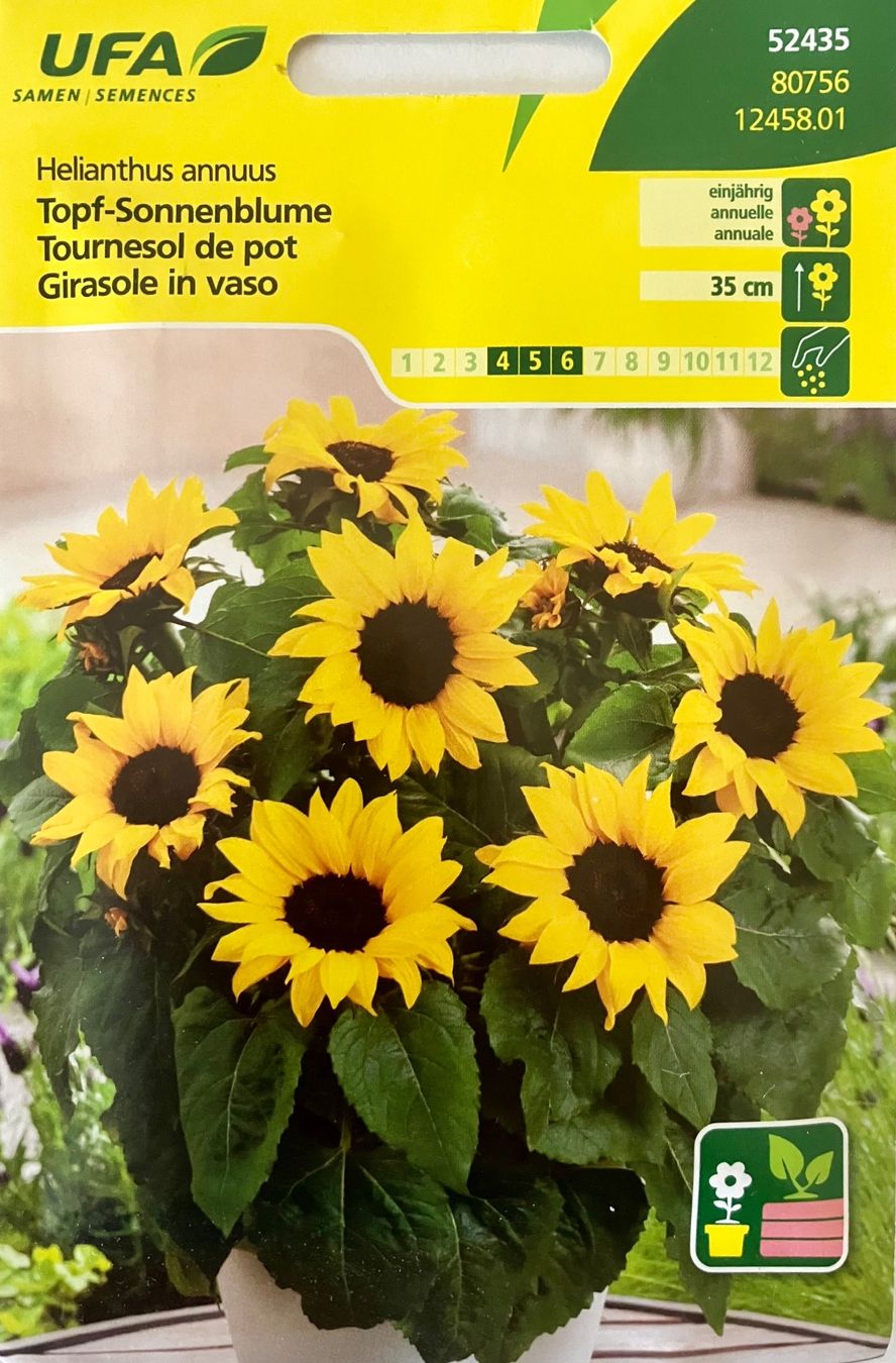 Piante & sementi: Diverse Blumen- und Gemüsesamen – Nuovo e nell'imballaggio originale da Schaffhausen venduto da NinaRicardo 2