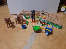 Playmobil Ponys/poneys