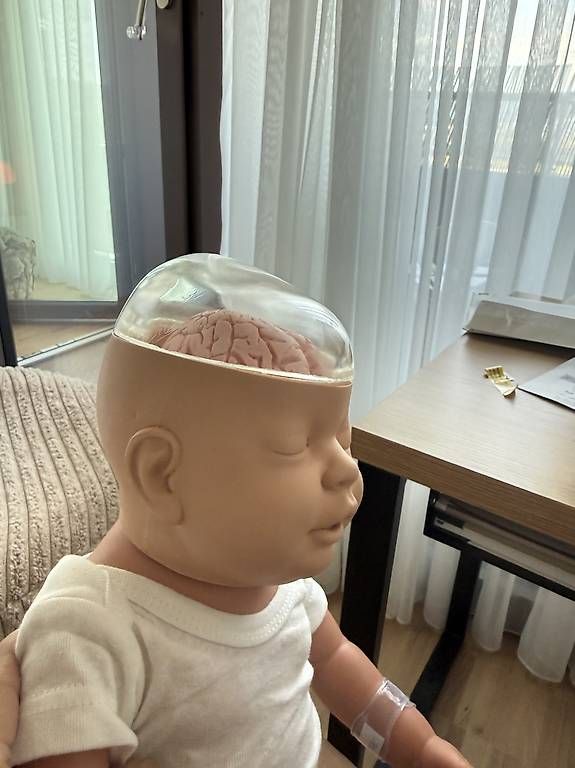 Bambole: schütteltrauma puppe ERSTE HILFE – Nuovo (secondo la descrizione) da Regensdorf venduto da Jessicamirandakoller 1