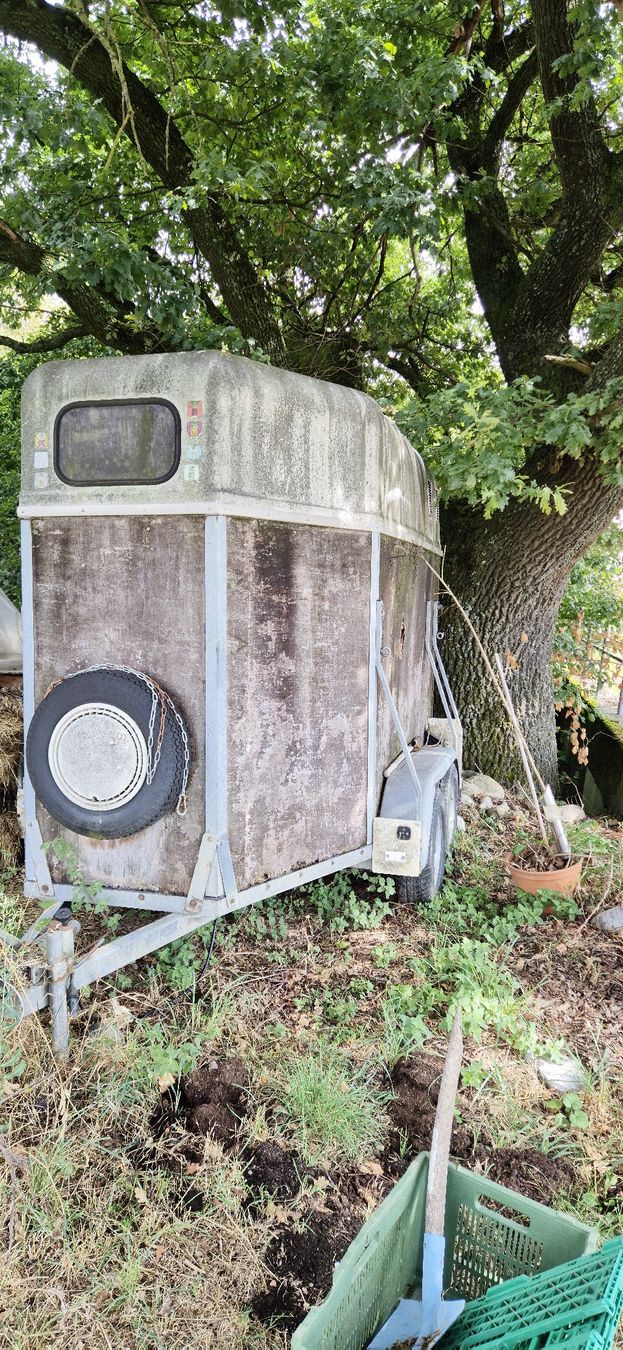 Rimorchi: Viehwagen – Difettoso da Schleinikon venduto da Johni2850 2
