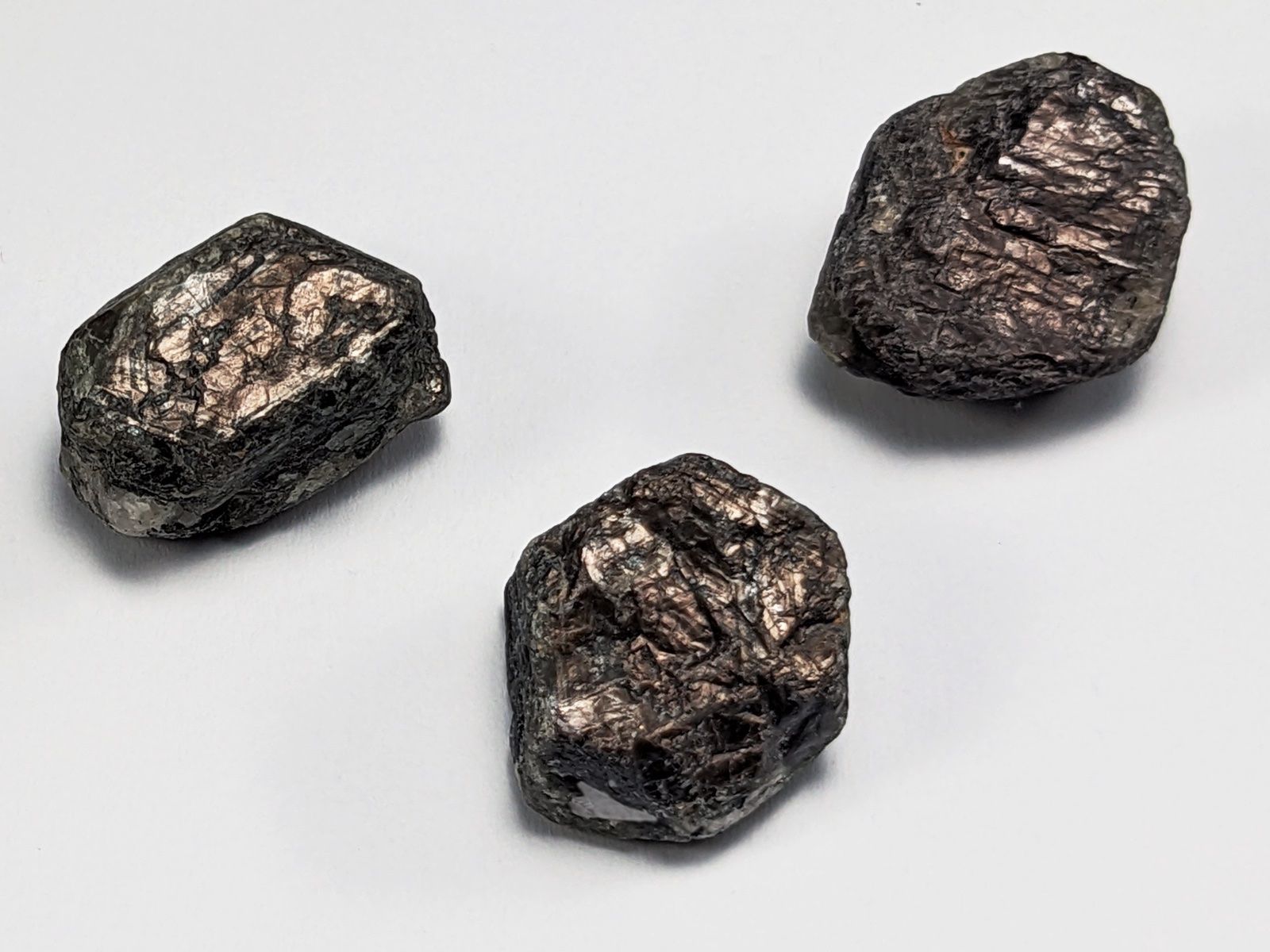 Pietre preziose: Sternsaphir roh ca.17mm 3Stk. 81.55ct – Nuovo e nell'imballaggio originale da Meilen venduto da StoneGarden