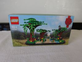 Lego Jane Cooddall Nr 40530