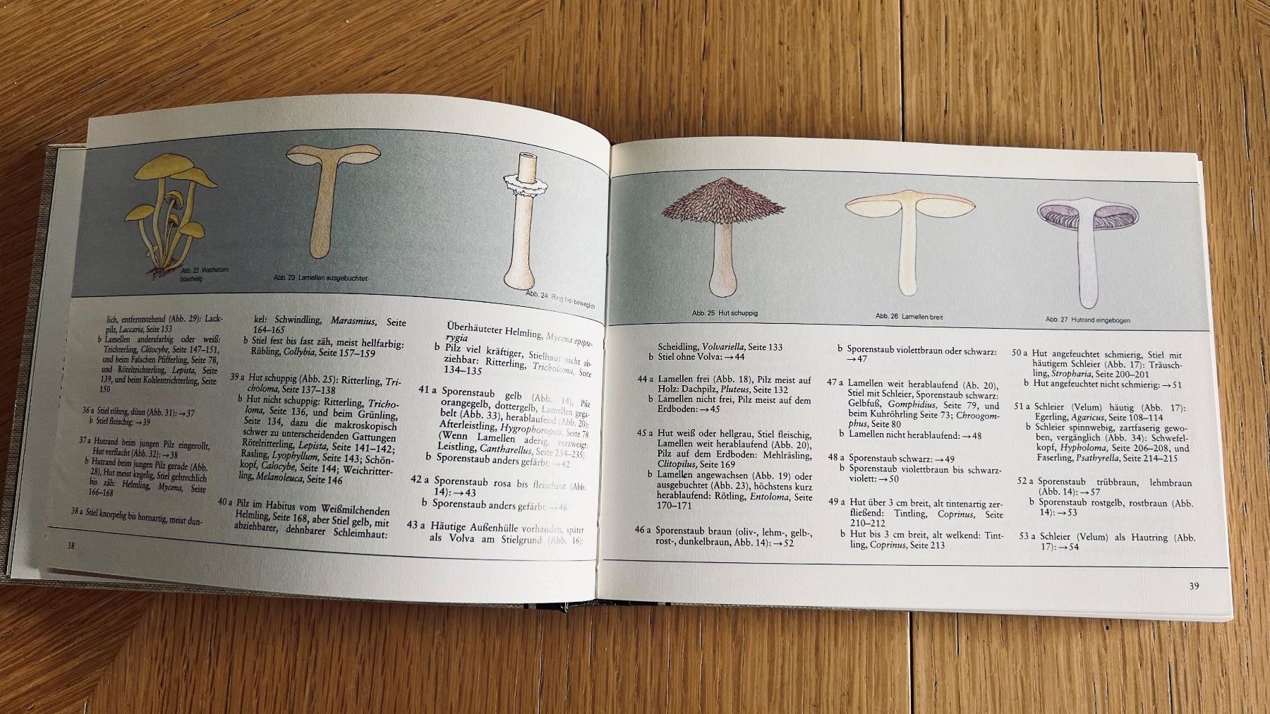 Libri: Pilze Mitteleuropas - Wegweiser Natur,1982 – Usato da Schübelbach venduto da Bemafaja 2