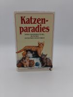 Katzenparadies: Schöne Katzengeschichten