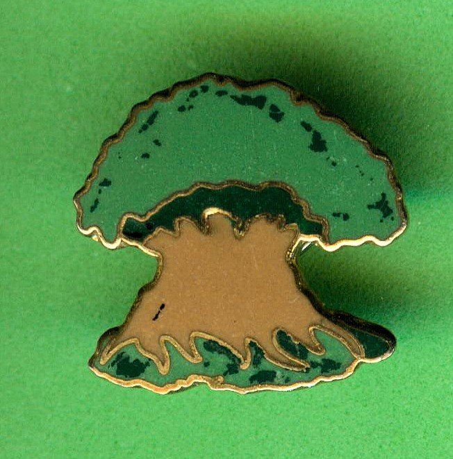 Disney Placchette & Badge: DISNEY  Animal Kingdom  BAUM – Usato da Winterthur venduto da Sammleroase