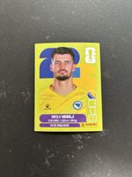 Panini BIH 2