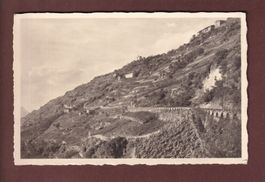 DAVOS-DORF - Erhard Gredig Veltliner Weine