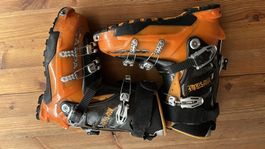 Skitourenschuhe Scarpa Maestrale