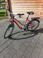 Elektro Velo Marke Flyer