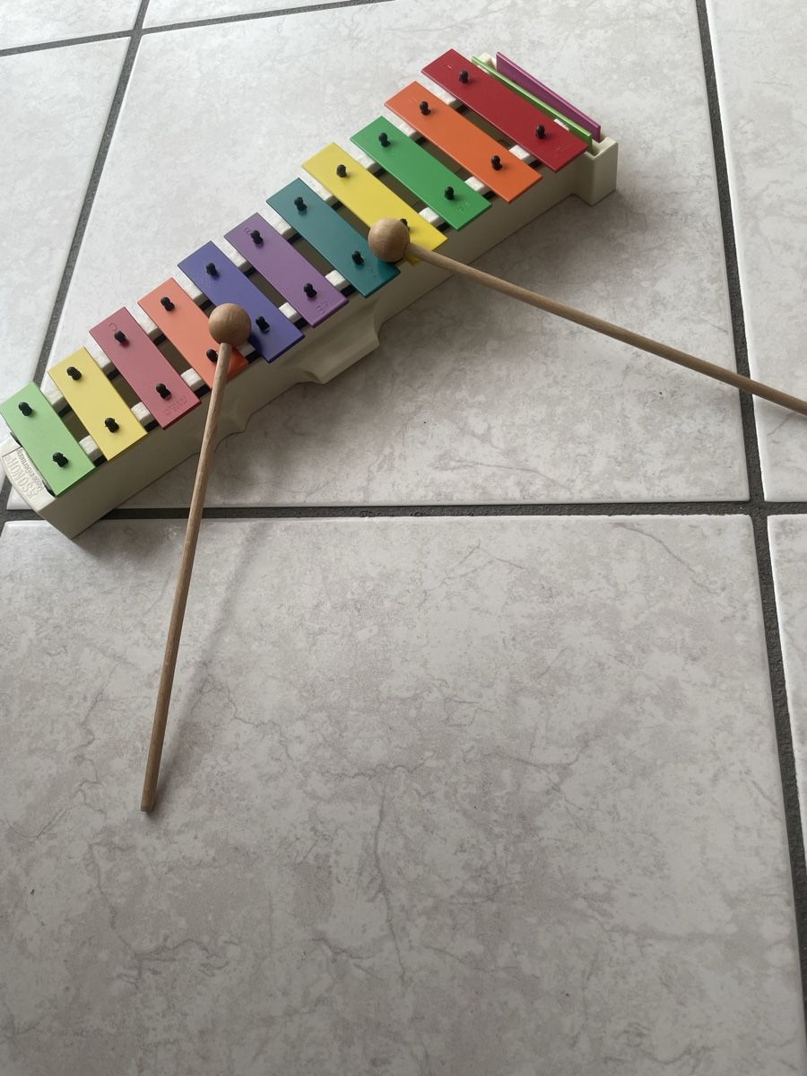 Strumenti musicali: Xilofono colorato per bambini  gioco musicale – Usato da Mezzovico venduto da esa_d9tc 1