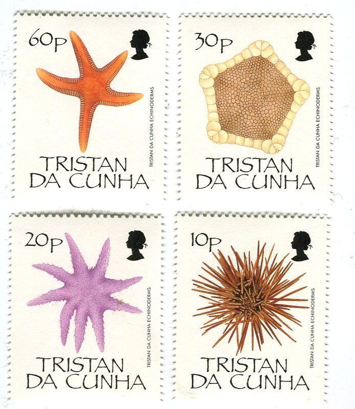 Tutti i francobolli: Briefmarken "Seesterne". Tristan da Cunha – Nuovo e nell'imballaggio originale da Basel venduto da Butsch5