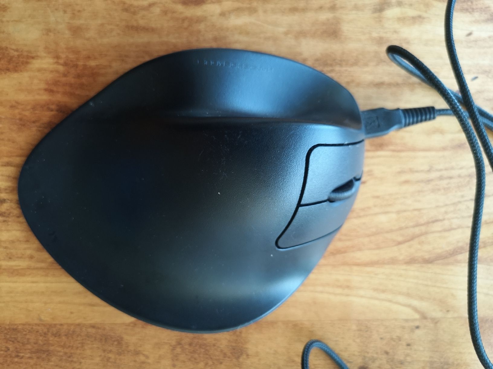 Souris: Handshoe Mouse – Neuf (Voir description) à Zürich par N_Gamper