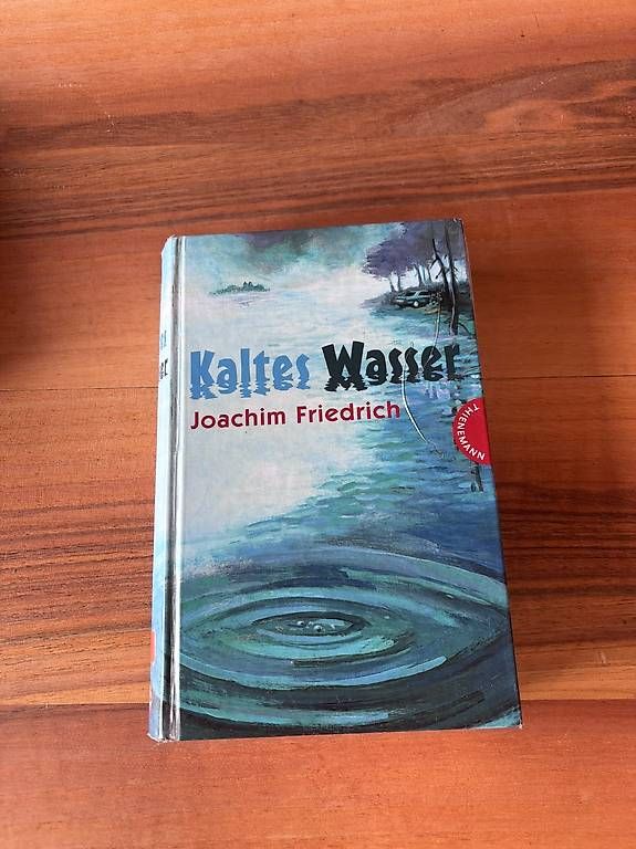 Bücher: Jugendroman von Joachim Friedrich – Gebraucht aus Teuffenthal BE von gra_snc7