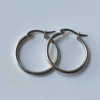 Titanium Kreolen Silber Farbe 2,5 cm