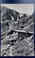 Foto-AK: Gasthaus Gfällalp am Lötschenpass, BE. 1955