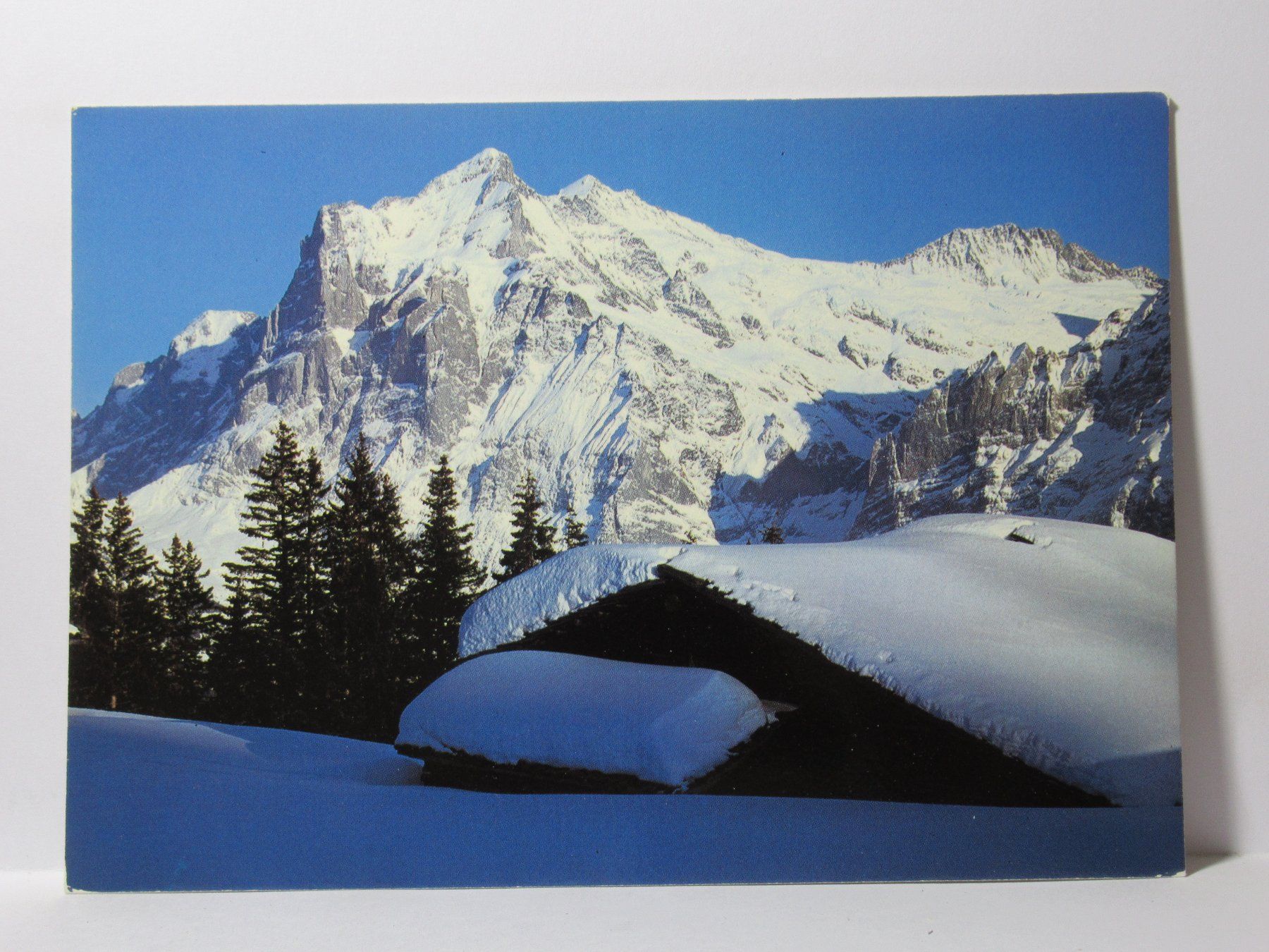 Cartoline postali: Wetterhorn – Nuovo (secondo la descrizione) da Grenchen venduto da Bluemchen1900