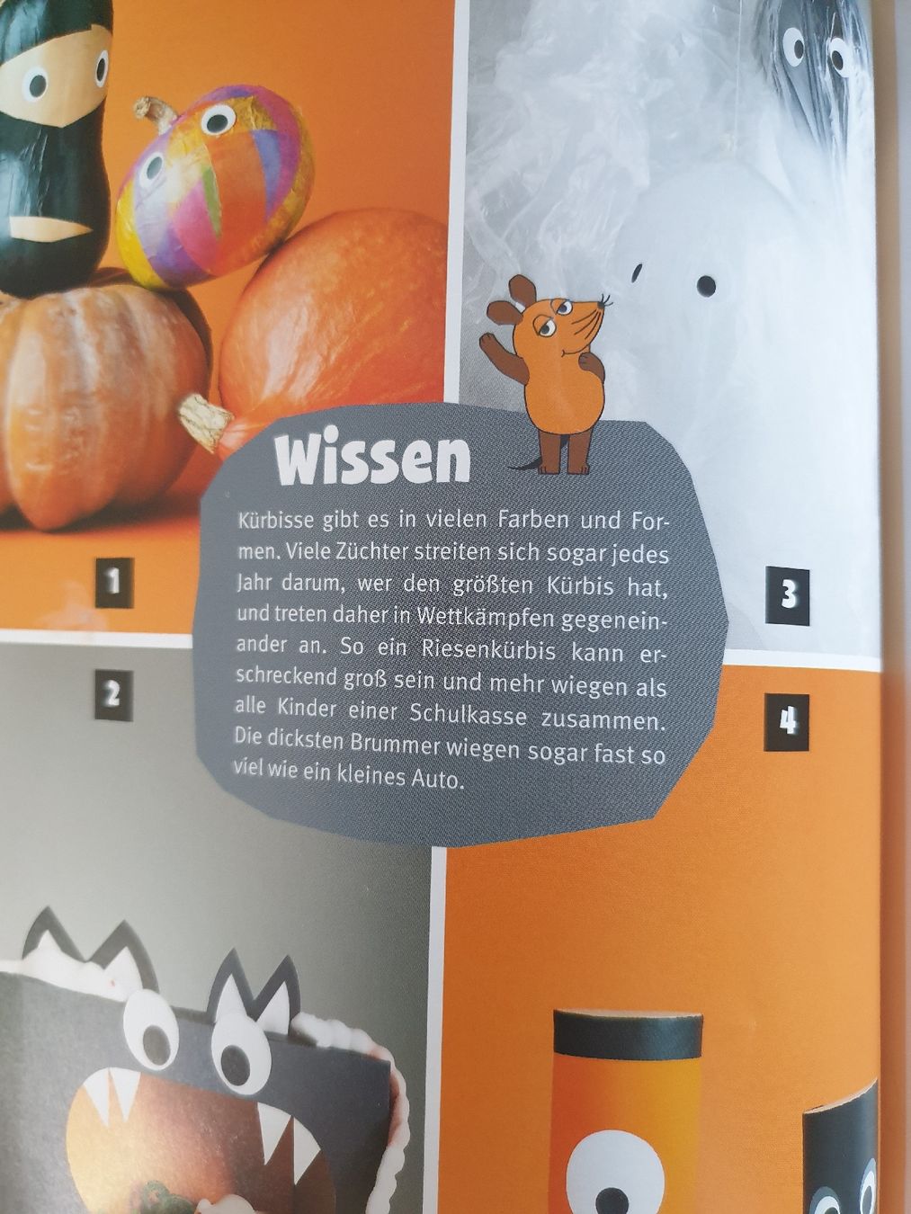 Libri: Bastelbuch "Basteln mit der Maus" Tolles Buch – Nuovo (secondo la descrizione) da Winterthur venduto da ivo_hmm2 5