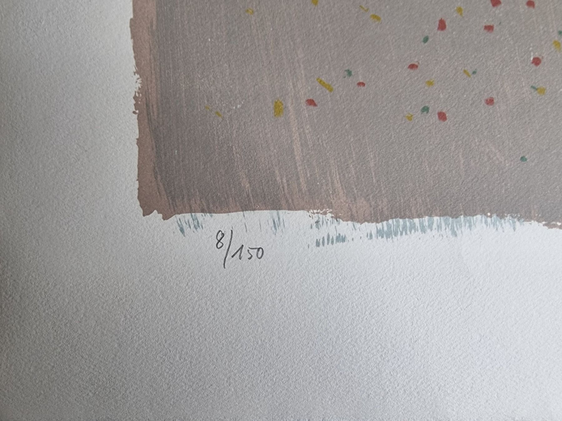 Grafica & Litografie: MARCO RICHTERICH LITHOGRAPHIE  SIGNIERT NUMMERIERT – Usato da Gersau venduto da kunst-online 3