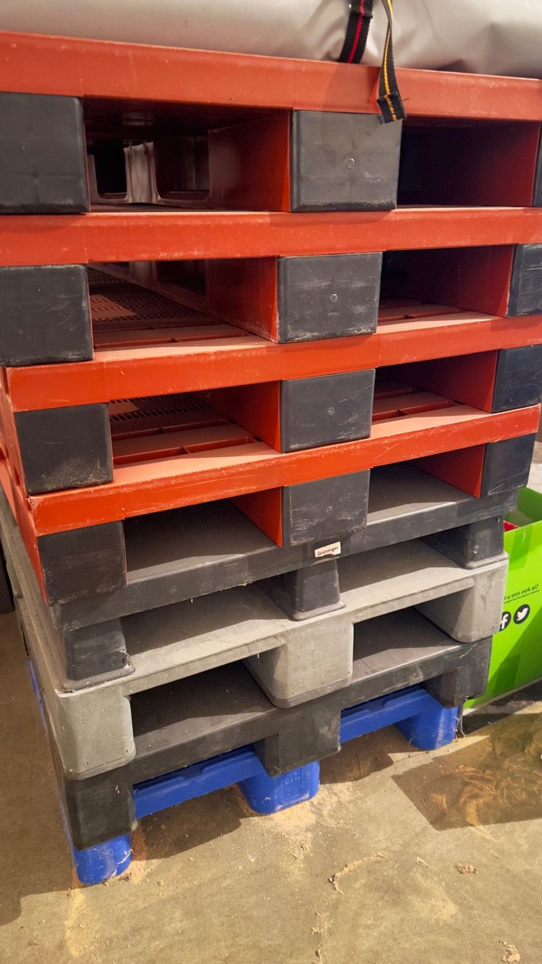 Pallets: Neuwertige Palette aus Kunststoff – Usato da Mörschwil venduto da sam_man